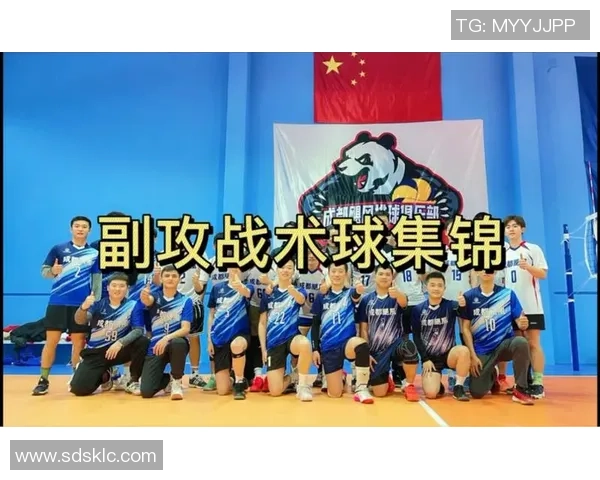 南京排球队的战术解析与控制体系研究探讨