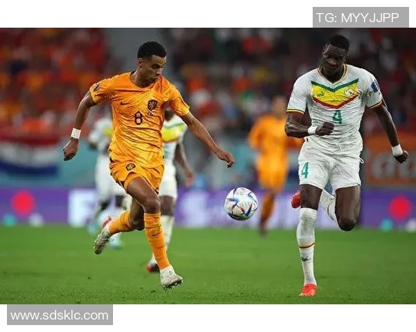 武汉排球队在世界杯预选赛中以95分稳居积分榜首位展现强劲实力